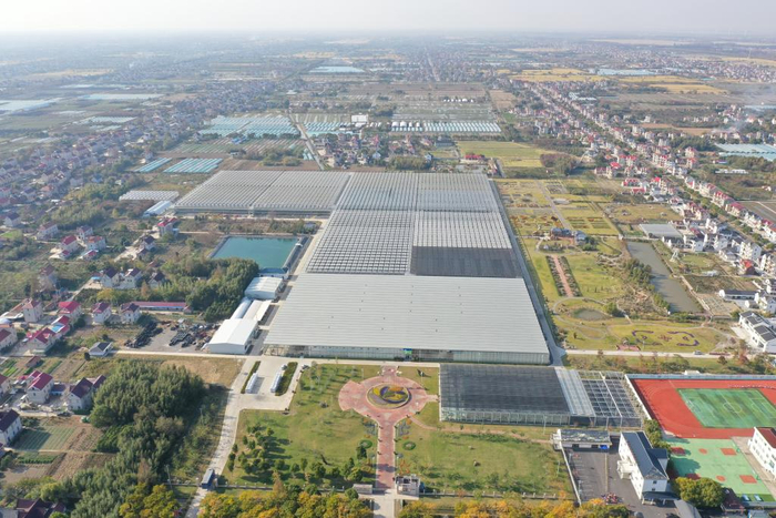 从空中俯瞰智慧生态花卉园。采访对象供图