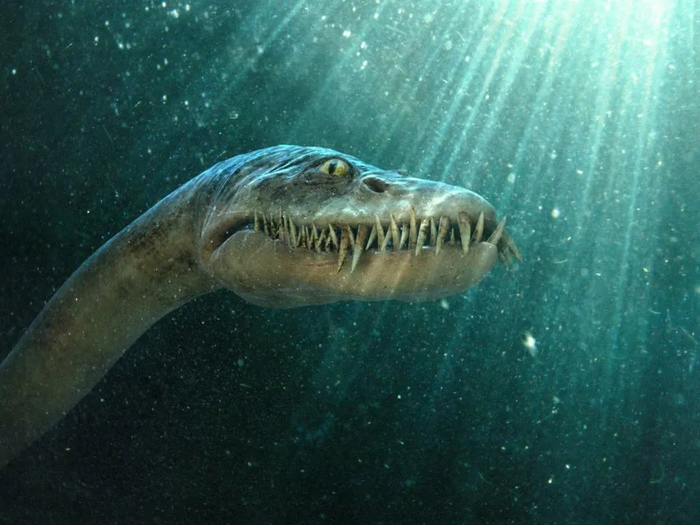 泳龙|海怪|白垩纪_新浪新闻