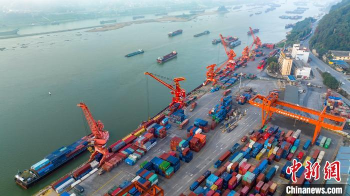 实拍广西梧州集装箱码头:卡车往来穿梭 货轮有序装卸|集装箱码头|梧州