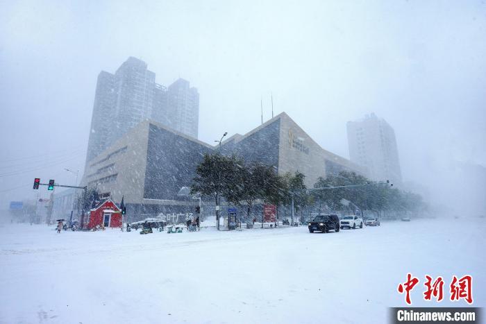 内蒙古通辽市出现暴雪天气|张启明|王鑫|暴雪_新浪新闻