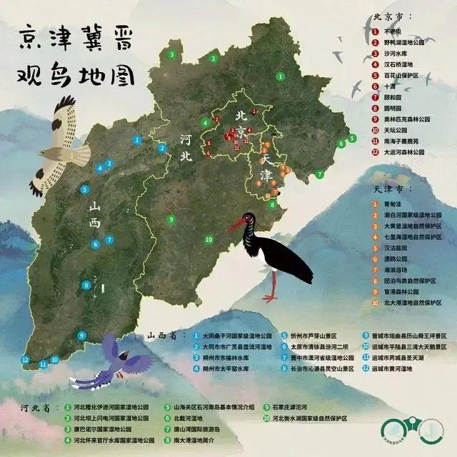 《京津冀晉觀鳥地圖》發佈|晉中市|蘆芽山|忻州市_新浪新聞