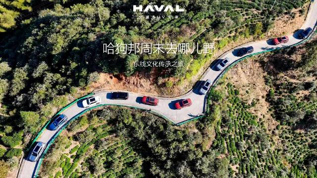 哈狗邦周末去哪儿野游览徽州宏村亲历世界非物质文化遗产漫步木坑竹海