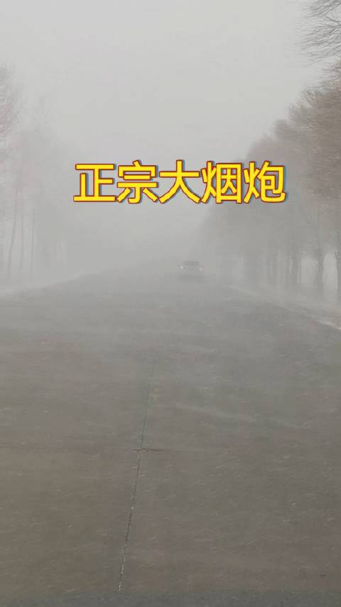 东北正宗大烟炮暴风雪烟炮