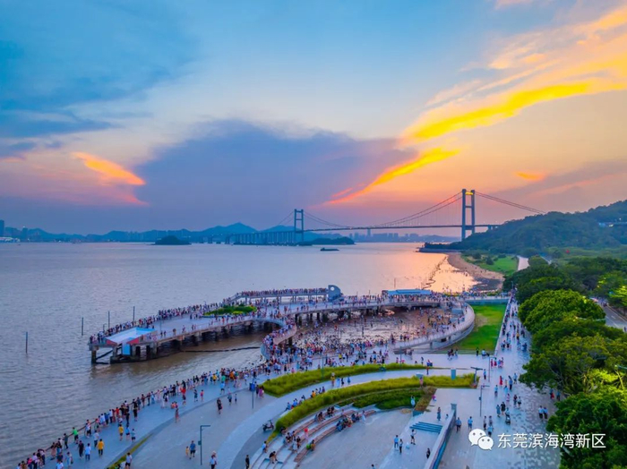 东莞这片网红海滩开放了!|东莞市|滨海湾_新浪新闻