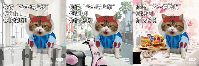 图片来源：小红书用户@大头西北旺