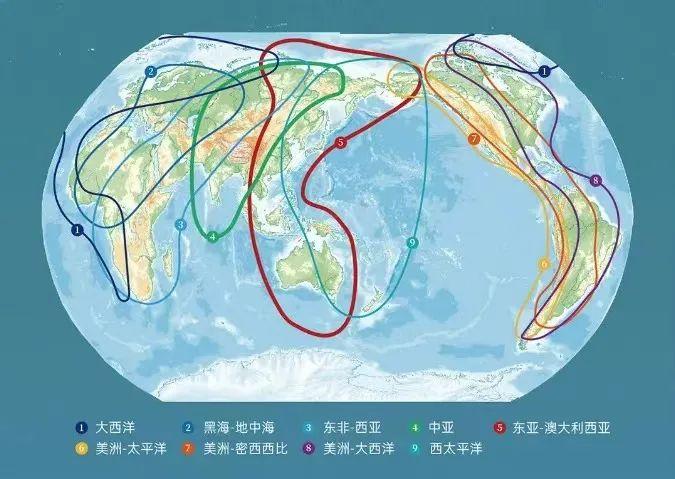 乌克兰候鸟迁徙路线图片