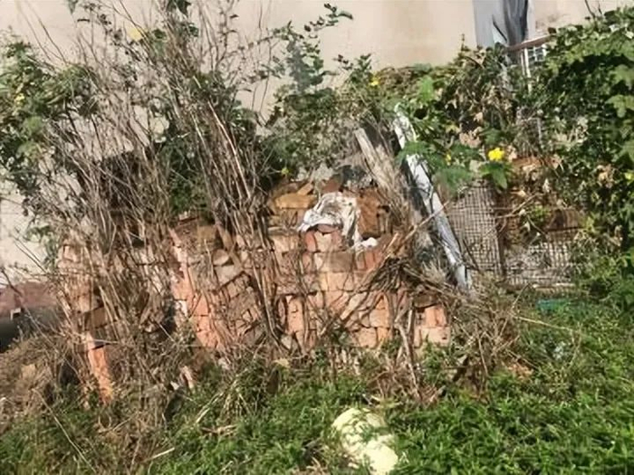 △案发地为荒废的菜园（微博截图）