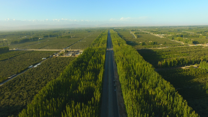 “沙进人退”到“绿进沙退”。图片来源：阿克苏地区林草局