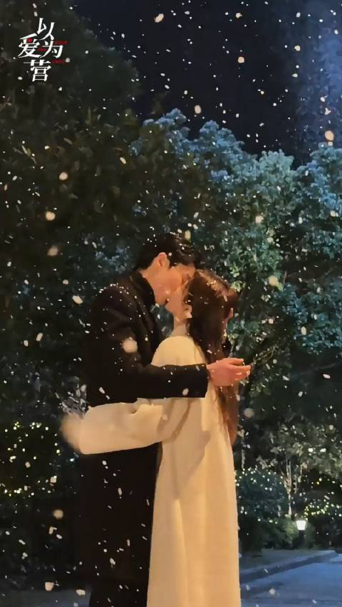 以爱为营时宴郑书意初雪吻来了