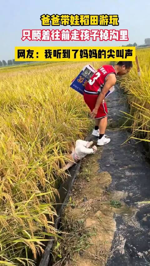爸爸带娃稻田中游玩只顾着往前走孩子掉沟里