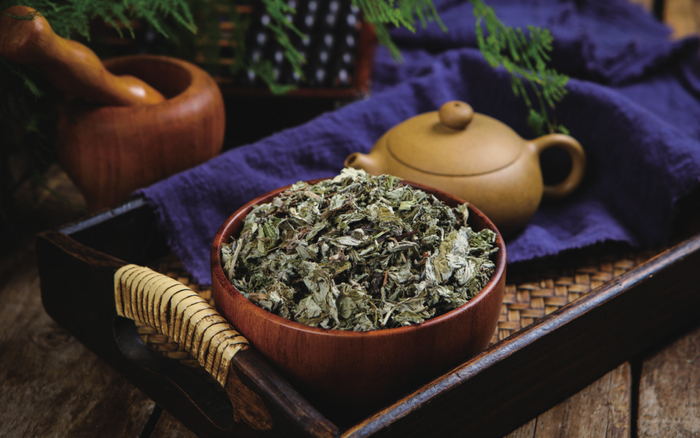 更"爱"自己 更"久"健康——关于艾灸的六个真相|艾叶|艾灸_新浪新闻