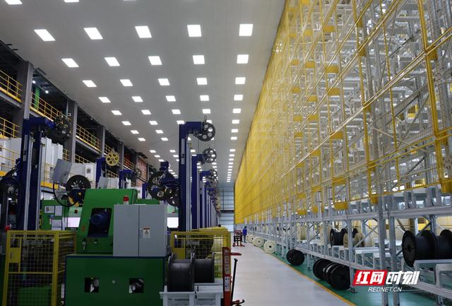 企业敢干丨金杯电工电磁线有限公司:从"隐形冠军"到进军"国际领军企业