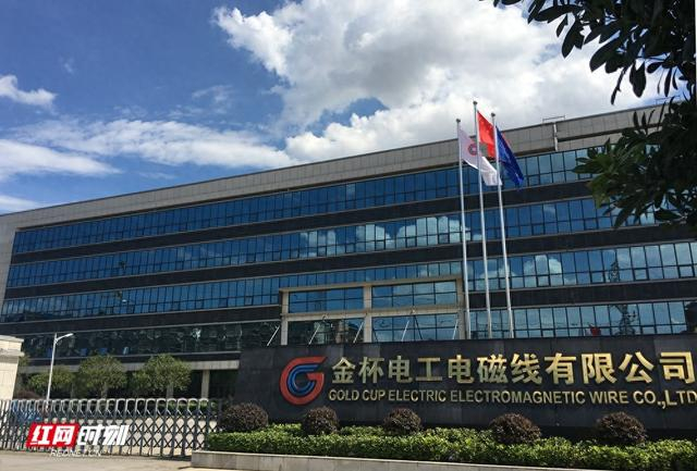 企业敢干丨金杯电工电磁线有限公司:从"隐形冠军"到进军"国际领军企业
