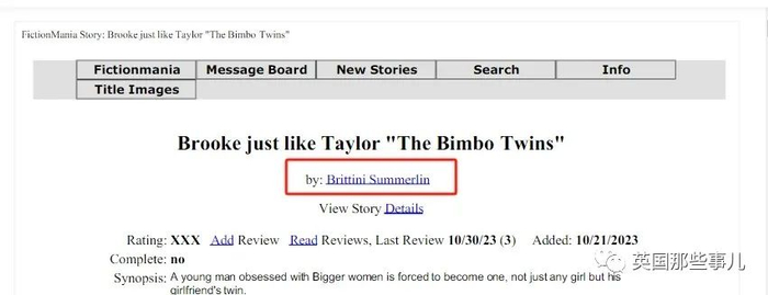 （创作的色情小说）