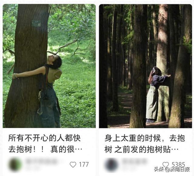 年輕人開始流行抱樹!街道和公園都出現了|北歐_新浪新聞