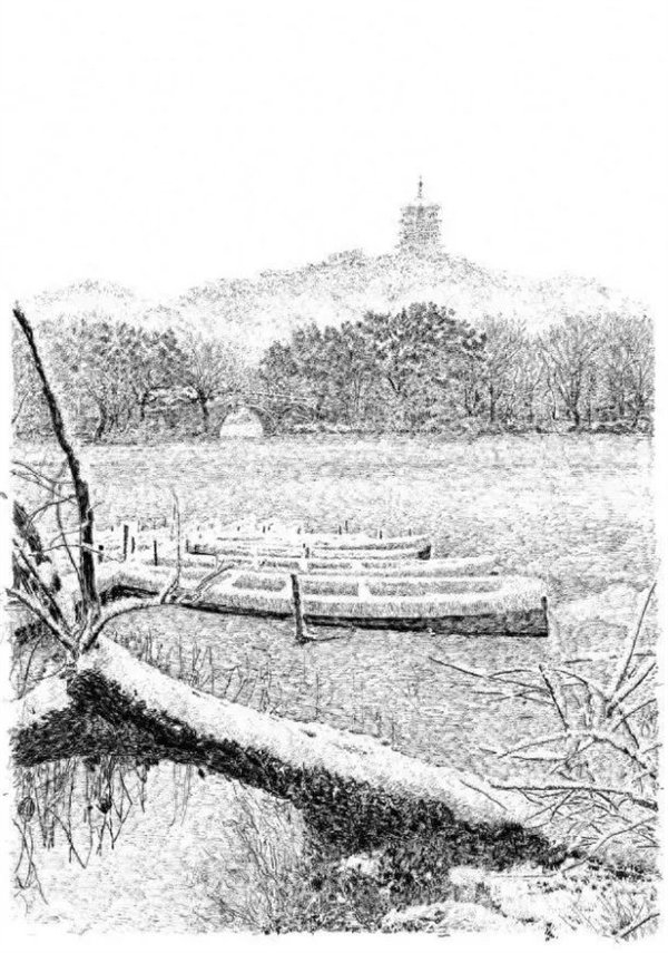 《三潭印月》《雪画西湖》用黑白钢笔色彩描绘了苏堤,保俶塔,断桥