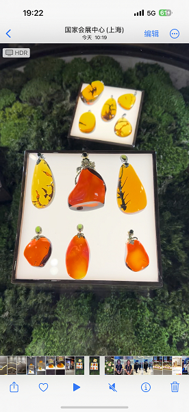 耗时半年打造"琥珀外滩"工作人员介绍,honn今年首次参展进博会,带来