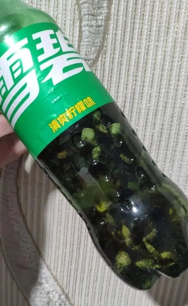 浙江多地出现大量臭屁虫门窗关死都没用有人用饮料瓶装了大半杯