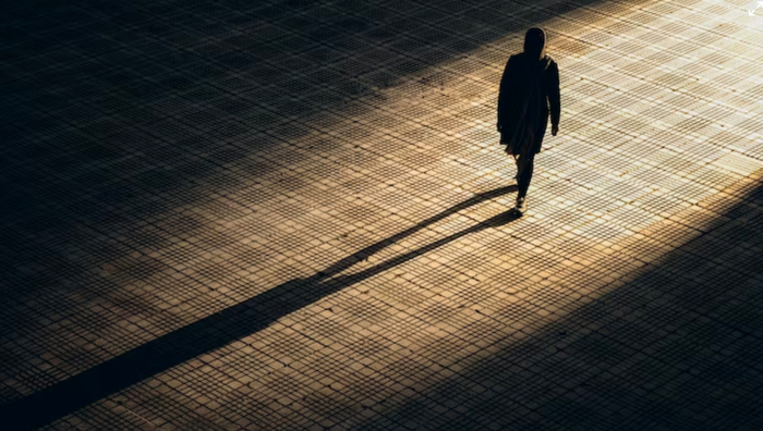 图片来源：unsplash，摄/Sam Moghadam Khamseh