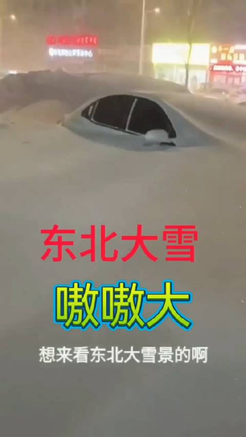 这是哈尔滨最大的雪了吧暴雪大雪