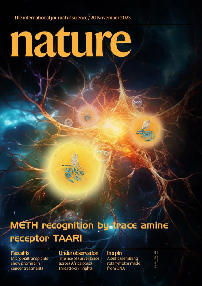 nature背靠背:我国学者解析"冰毒"与其受体taar1的分子识别机制及受体
