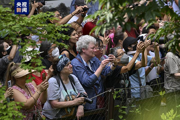 △当地游客为“美香”庆生