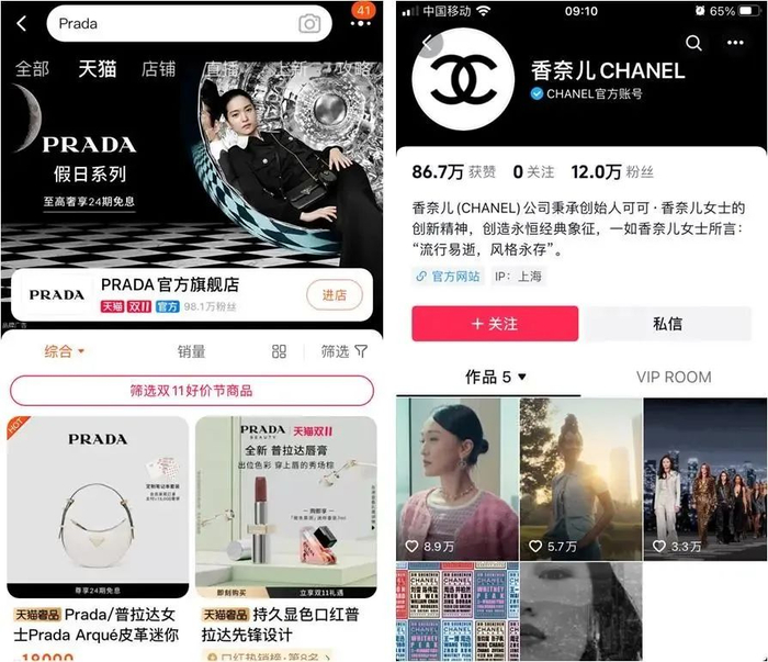 奢侈品牌天猫店及抖音账号，图源淘宝、抖音