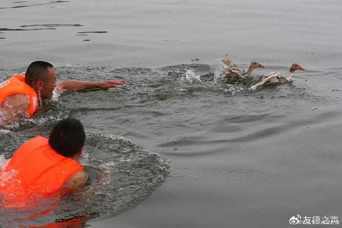 如何正确应对溺水事件保持冷静呼救利用工具进行初步救援