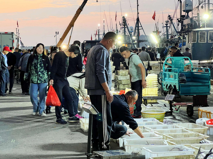 240块钱一筐,实拍初冬青岛渔港码头,海捕大虾成"稀罕物"|码头|海货