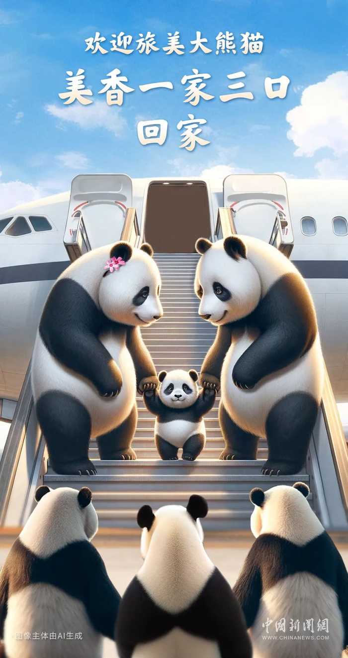 熊猫|美国|动物园_新浪新闻