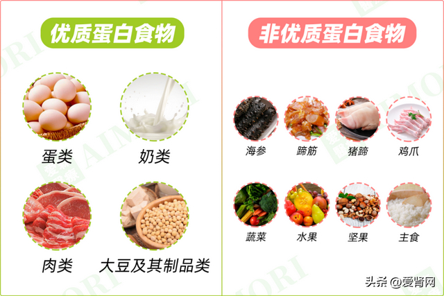 透析30年以上的肾友,都做到了这七点透析饮食原则|蛋白质|维生素|饮食