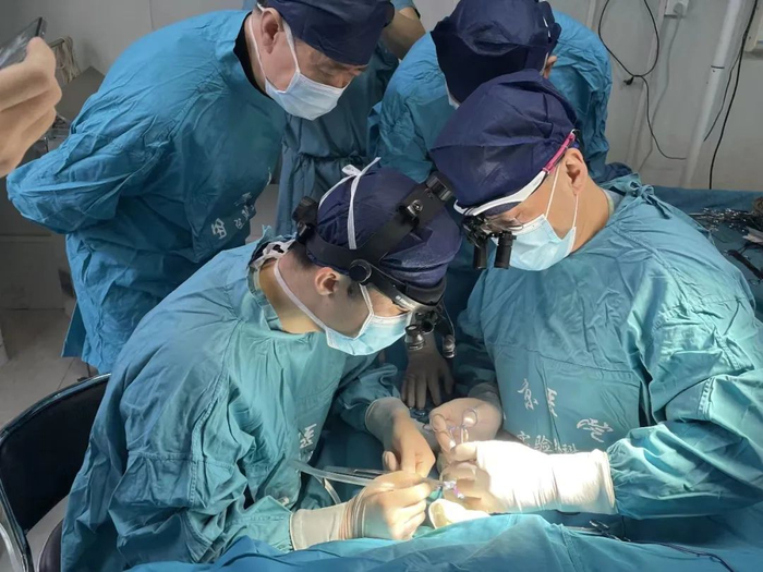 西京医院成功将1只基因编辑猪多个器官组织移植给7只受体猴