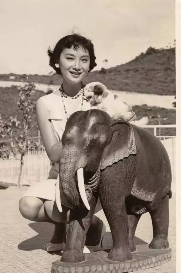 金庸为她中毒,她是怎样的美……|夏梦|岑范|投奔怒海_新浪新闻