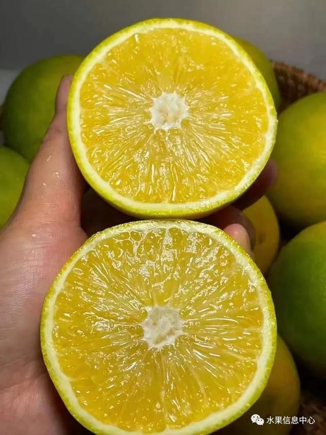 桔子自拍摄影技巧视频教程，技巧大全