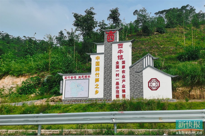 英德市西牛镇:推动"百千万工程"新引擎 跑出乡村振兴加速度