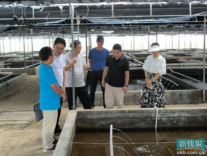 湛江和安镇:专家面对面培训 助力东风螺,石斑鱼产业振兴发展|湛江市