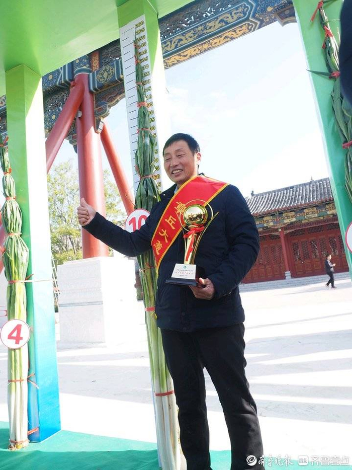 章丘大葱高度再超世界吉尼斯纪录|章丘大葱|高度|大葱_新浪新闻