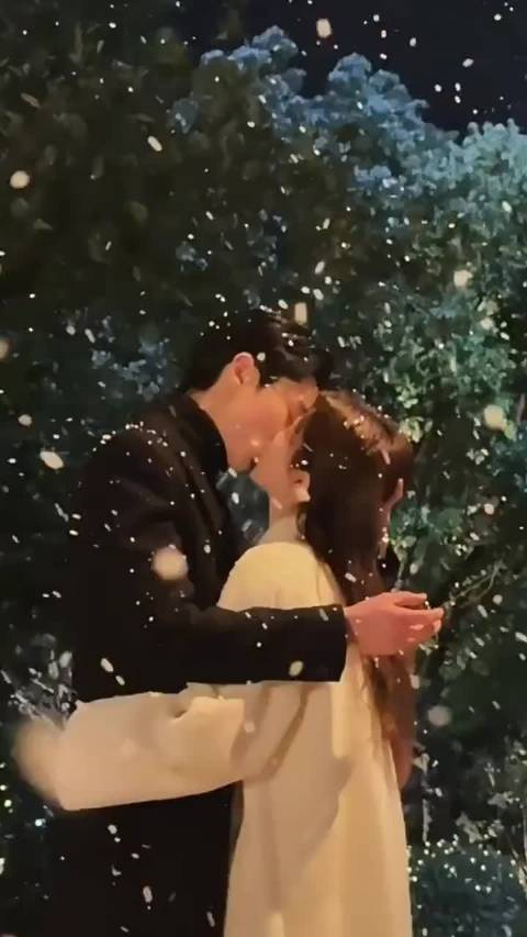 时宴郑书意初雪吻名场面来了不管你接近我什么目的我不等了