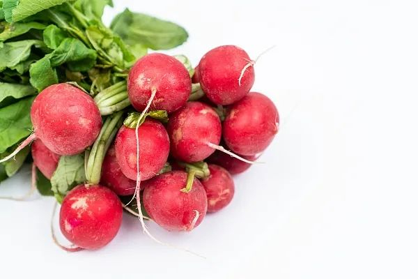 萝卜中含有各种维生素及钙,磷,铁等矿物质,具有利尿,消食,解酒等功效