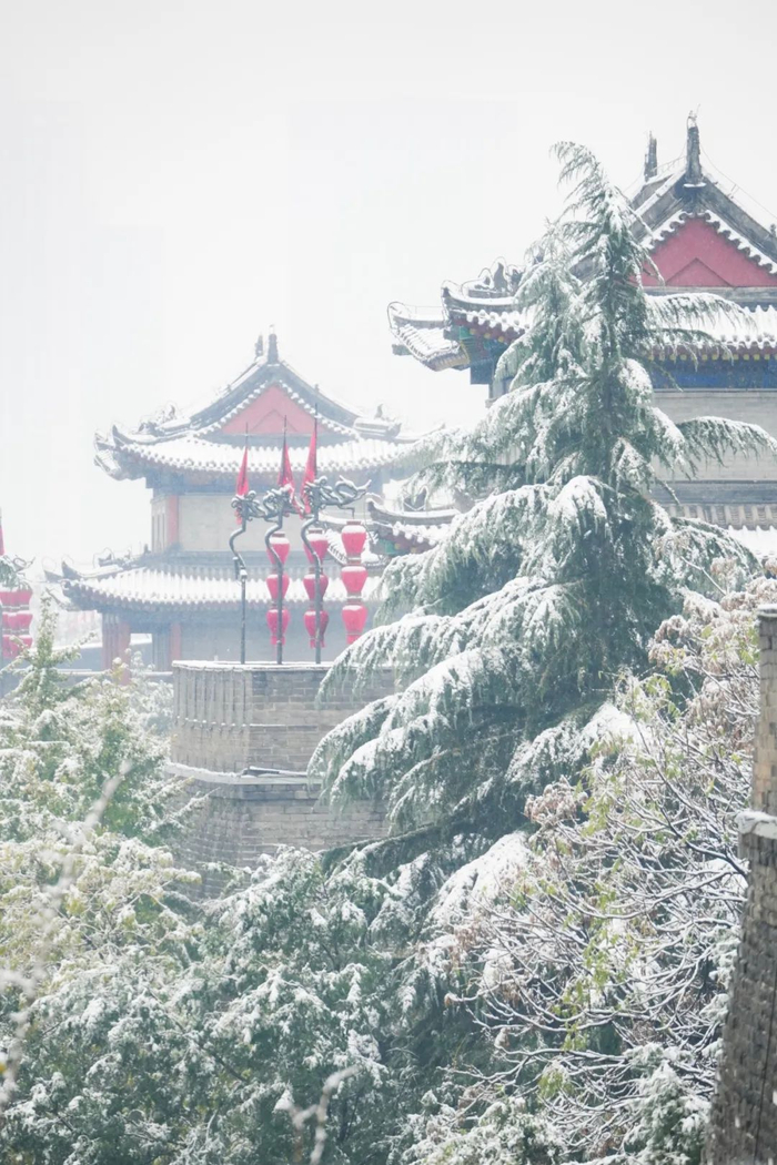 自带bgm##西安大雪纷飞##西安下雪了##西安第一场雪有点猛#如约而至