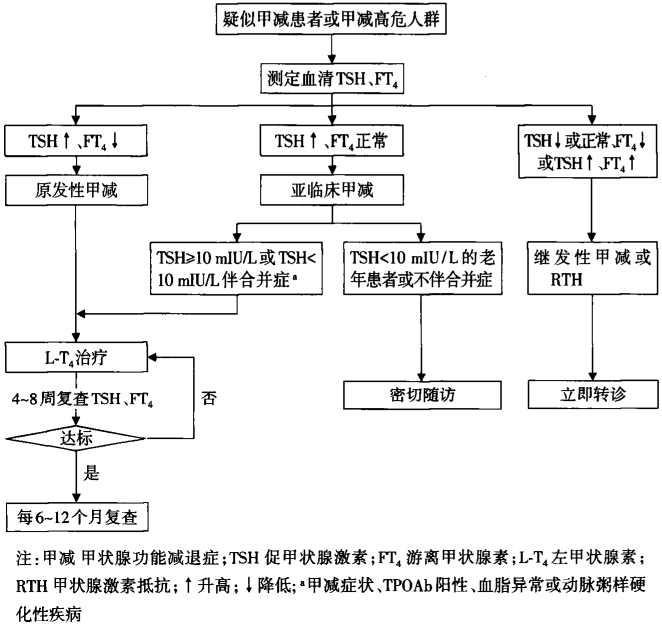 图2 基层甲减患者管理流程