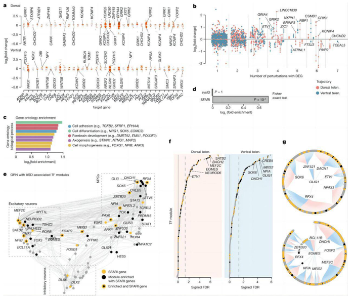 （来源：Nature）