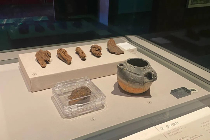 “茶·世界——茶文化特展”展出的