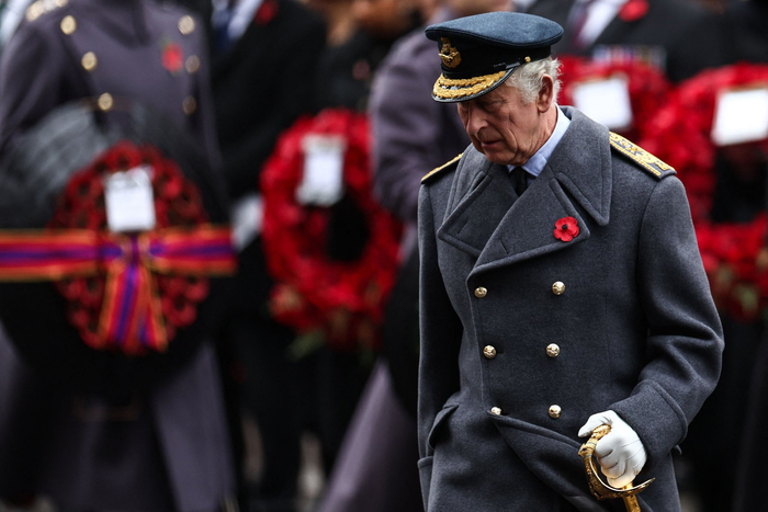 英国伦敦举行"阵亡将士纪念日"活动|阵亡将士纪念日|英国|伦敦_新浪
