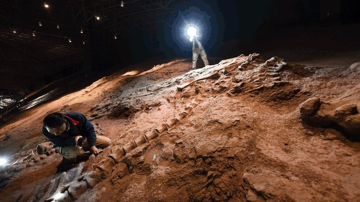 《时间 · 生命｜深时的巨石 —— 寻访星宿龙》