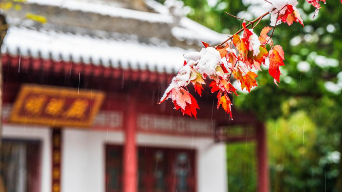 ▲华清宫雪景。图片来自IC Photo