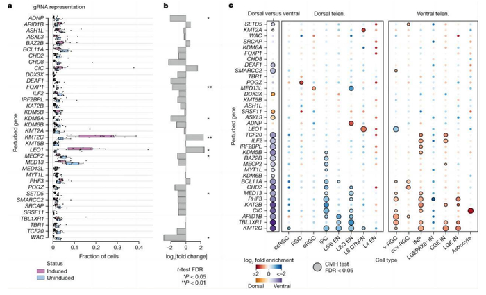（来源：Nature）