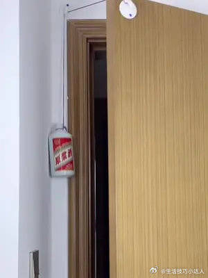 自动关门器懒人必备