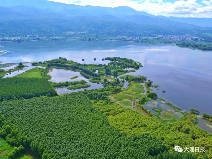 走进剑川,探寻剑湖湿地之美|大理白族自治州|湿地_新浪新闻