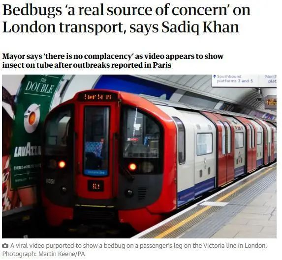 图片来源：英国《卫报》截图